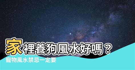 養狗 風水|室內風水與養狗風水